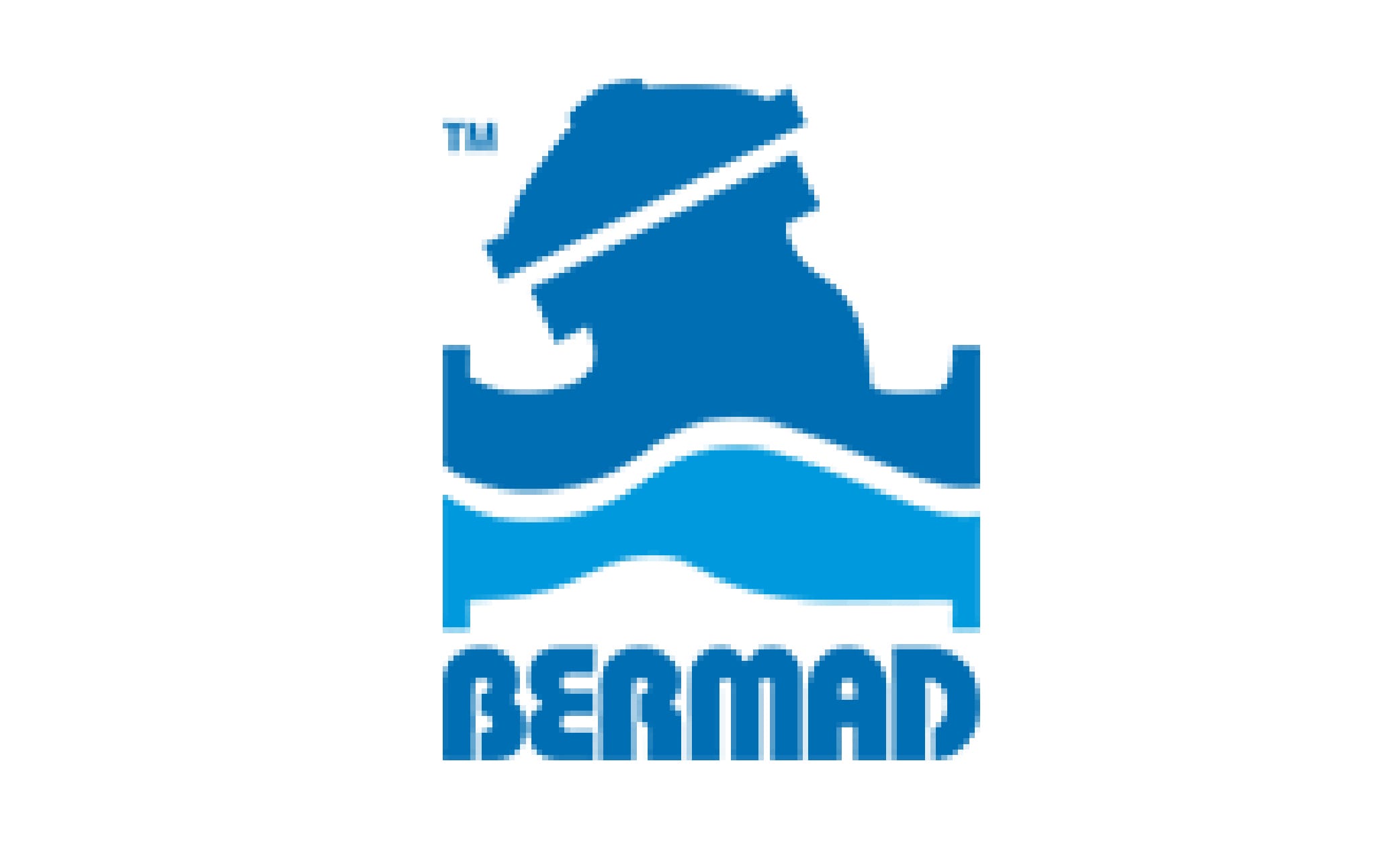 BERMAD -LOGO