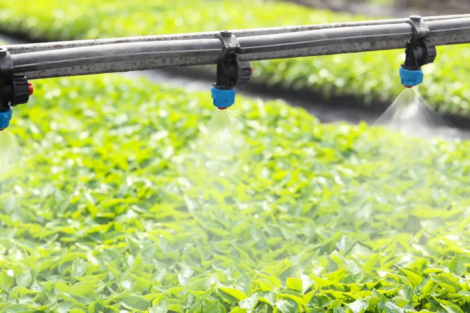 greenhouse-watering-system-action